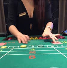d4vd Live Casino Section